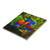 Farbenfrohe Papageien Fliese (Seite)