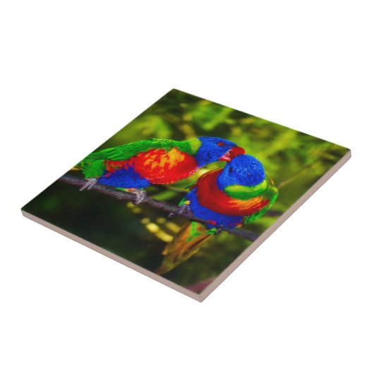 Farbenfrohe Papageien Fliese (Seite)