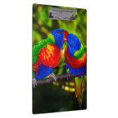 Farbenfrohe Papageien Klemmbrett (Rechts)