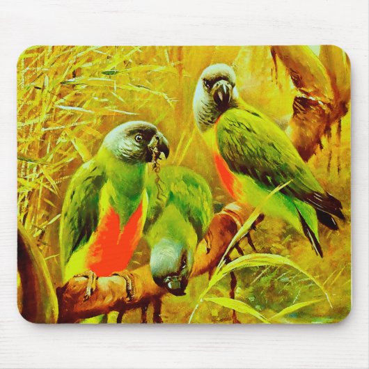 Farbenfrohe Papageien Mousepad (Vorne)