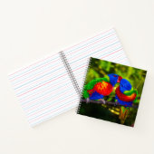 Farbenfrohe Papageien Notizblock (Innenseite)