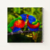 Farbenfrohe Papageien Notizblock (Rückseite)