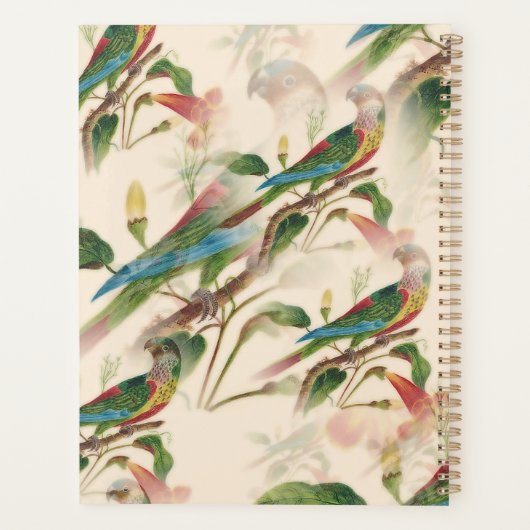 Farbenfrohe Papageien & schöne Blume Planer (Rückseite)