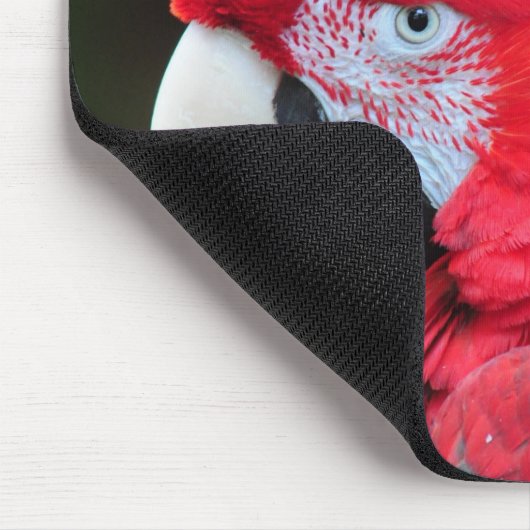 Farbenfrohe Papageienplakat Mousepad (Ecke)