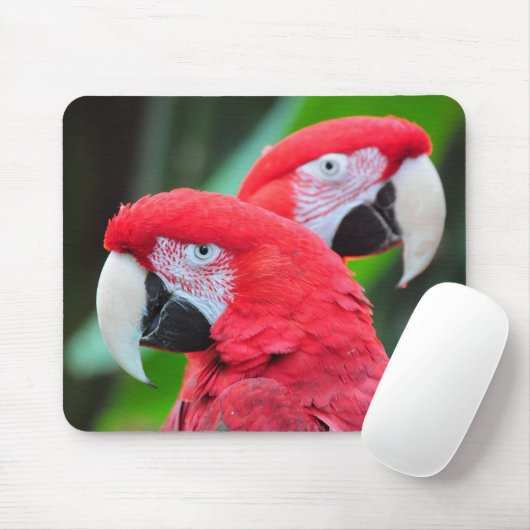 Farbenfrohe Papageienplakat Mousepad (Mit Mouse)
