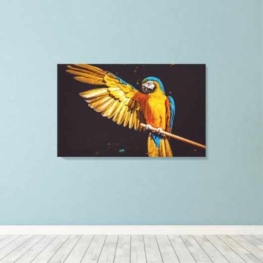 Farbenfrohe Parakeet Bird Leinwanddruck (Insitu (Holzboden))