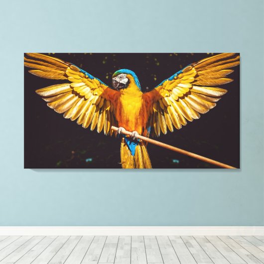 Farbenfrohe Parakeet Winged Bird Canvas Print Leinwanddruck (Insitu (Holzboden))