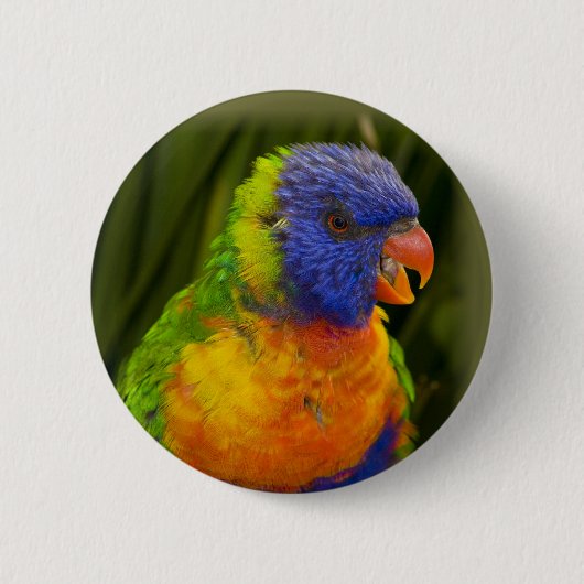 Farbenfrohe Parkettböden Button (Vorderseite)