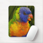 Farbenfrohe Parkettböden Mousepad (Mit Mouse)