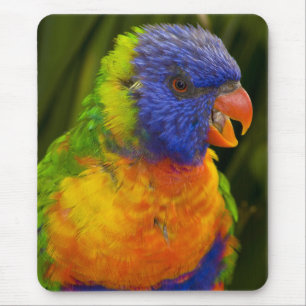 Farbenfrohe Parkettböden Mousepad
