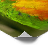 Farbenfrohe Parkettböden Poster (Ecke)