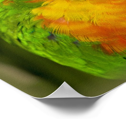 Farbenfrohe Parkettböden Poster (Ecke)