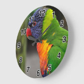 Farbenfrohe Parrot-Uhr Große Wanduhr (Winkel)