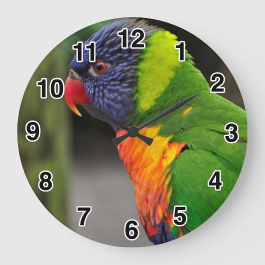 Farbenfrohe Parrot-Uhr Große Wanduhr (Vorderseite)