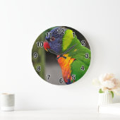 Farbenfrohe Parrot-Uhr Große Wanduhr (Zuhause)