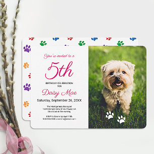 Farbenfrohe Paw Prints Pink Pet Geburtstags-Foto Einladung