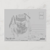 Farbenfrohe Peacock Spider Macro Fotografie Postkarte (Rückseite)