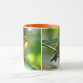 Farbenfrohe Pekin Robin Songbird am Zweig Tasse (Zentrum)