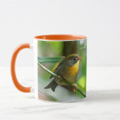 Farbenfrohe Pekin Robin Songbird am Zweig Tasse (Links)