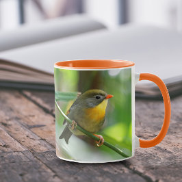 Farbenfrohe Pekin Robin Songbird am Zweig Tasse