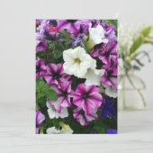 Farbenfrohe Petunias Blank Karte (Stehend Vorderseite)