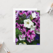 Farbenfrohe Petunias Blank Karte (Vorderseite/Rückseite Beispiel)