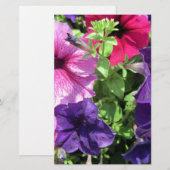 Farbenfrohe Petunias Briefpapier (Vorne/Hinten)