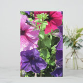 Farbenfrohe Petunias Briefpapier (Stehend Vorderseite)
