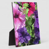 Farbenfrohe Petunias Fotoplatte (Seite)