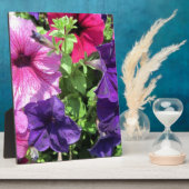 Farbenfrohe Petunias Fotoplatte (Seite)