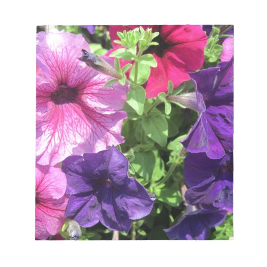 Farbenfrohe Petunias Notizblock (Vorderseite)