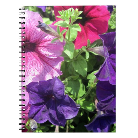 Farbenfrohe Petunias Notizblock (Vorderseite)
