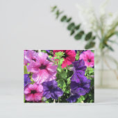 Farbenfrohe Petunias Postkarte (Stehend Vorderseite)