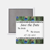 Farbenfrohe Pfau Save the Date Magnet (Vorderseite/Rückseite)
