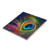 Farbenfrohe Pfauenfeder Fliese (Seite)