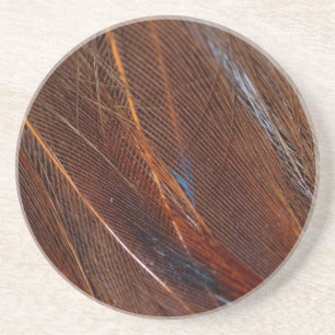 Farbenfrohe Pfauenfeder im Detail Getränkeuntersetzer