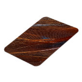 Farbenfrohe Pfauenfeder im Detail Magnet (Linke Seite)