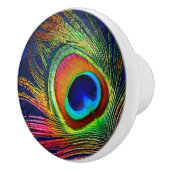 Farbenfrohe Pfauenfeder Keramikknauf (Rechts)