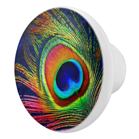 Farbenfrohe Pfauenfeder Keramikknauf (Rechts)