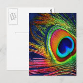Farbenfrohe Pfauenfeder Postkarte (Vorne/Hinten)