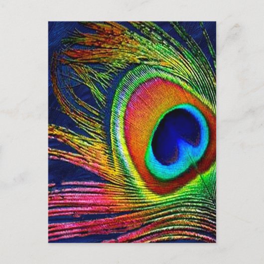 Farbenfrohe Pfauenfeder Postkarte (Vorderseite)