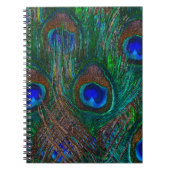 Farbenfrohe PfauenFedern Etching Style Notizblock (Vorderseite)