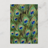 Farbenfrohe Pfauenhochzeiten Begleitkarte (Rückseite)
