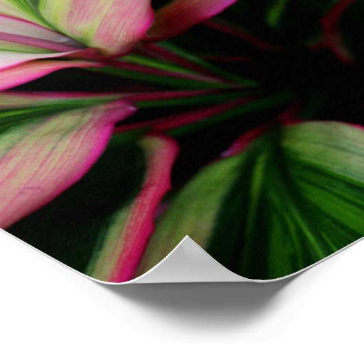 Farbenfrohe Pflanze Poster (Ecke)