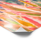 Farbenfrohe Pflanze Tipps | FOTO (Ecke)