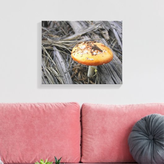 Farbenfrohe Pilzkruste durch Schmutz Leinwanddruck (Insitu (Wohnzimmer))