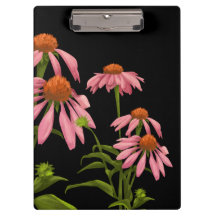 farbenfrohe Pinkblumen auf schwarzem Hintergrund