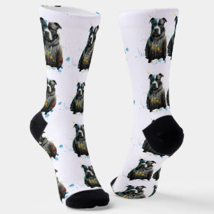 Farbenfrohe Pitbull - Niedlicher Haustier Socken