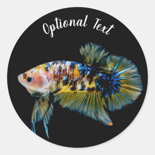 Farbenfrohe Planket Betta Fighting Fish Runder Aufkleber (Vorderseite)