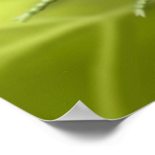 Farbenfrohe Pracht Mantis Bug Poster (Ecke)